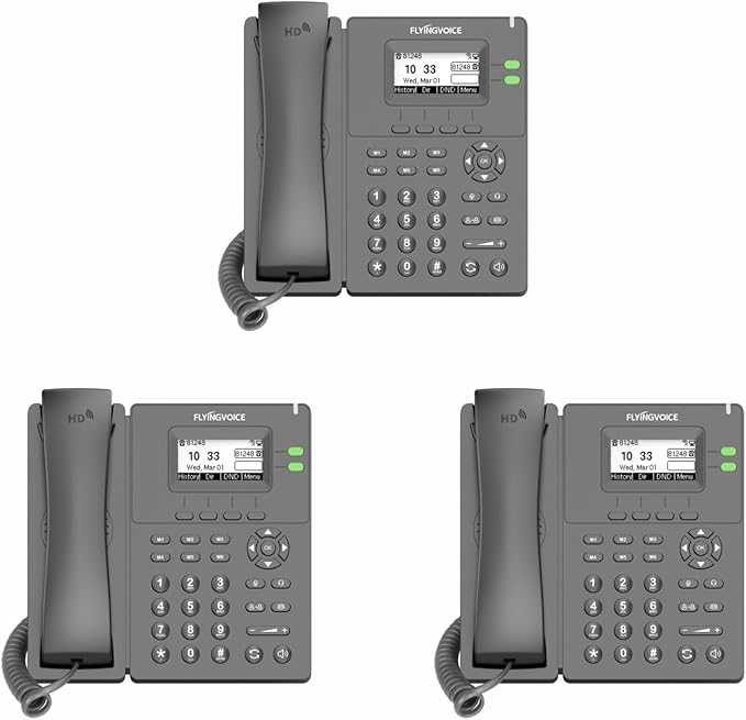 Flyingvoice P20P IP Phone: Dual-Line, PoE, 2.4GHz Wi-Fi & HD Voice